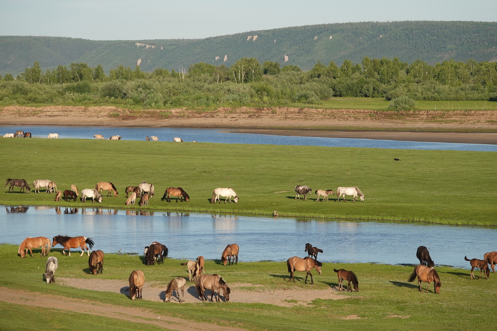 Синск